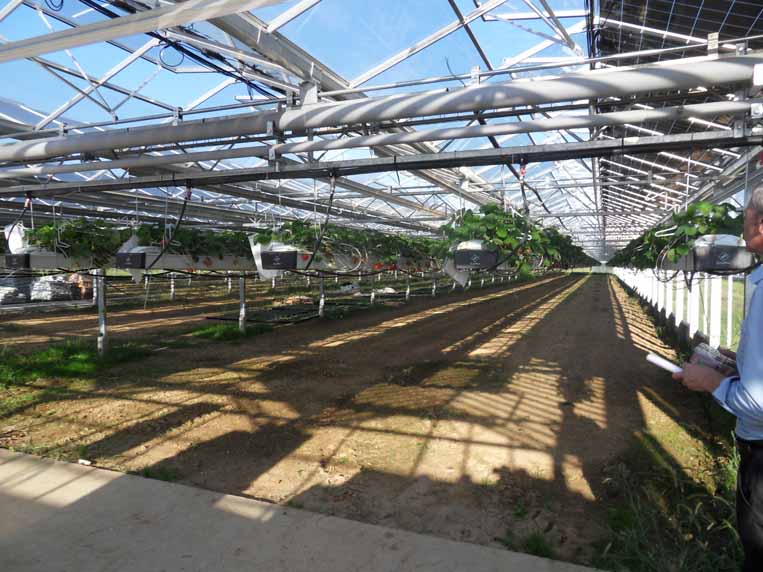 2014  Cassina de’ Pecchi  (Milano) Serre agricole fotovoltaiche (mq 22.000) in località Sant’Agata